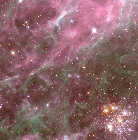 Hodge 301 in the Tarantula Nebula, Hubble Space Telescope image