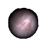 To NGC 2440